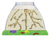Ant Hill™ with Prepaid Voucher for Live Ants